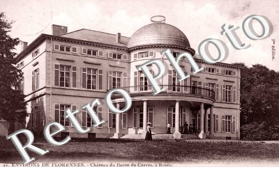 Chateau du Baron de Cesves a Rosee