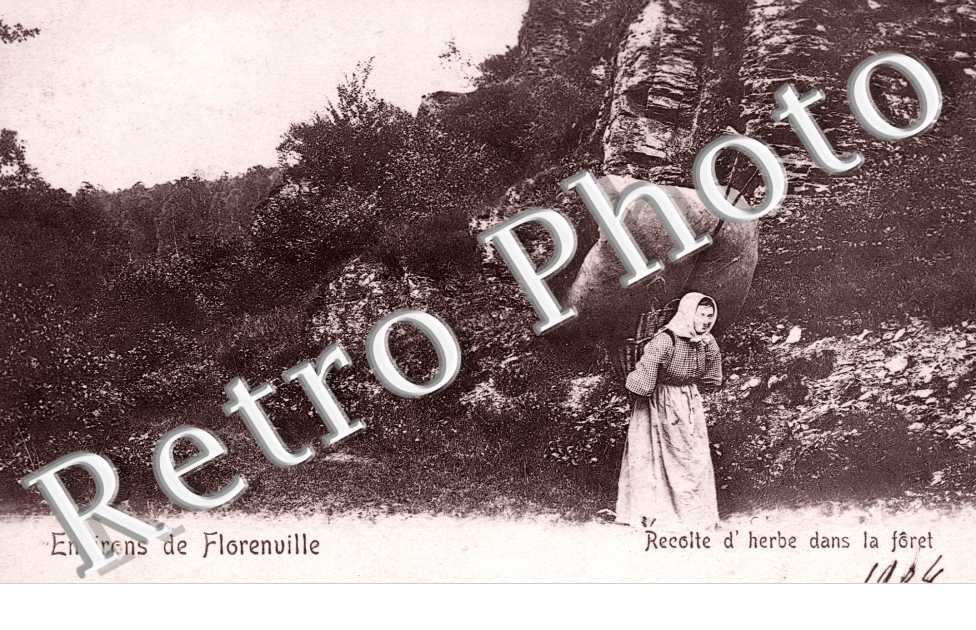 Recolte d'herbe dans la Foret