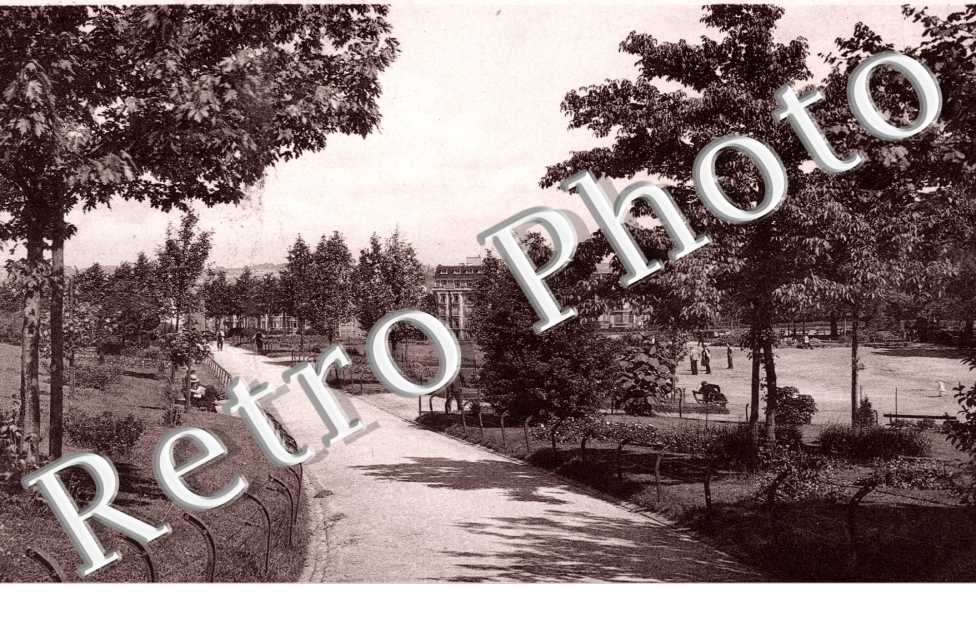 promenade dans le parc