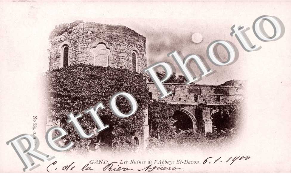 Les Ruines de l'Abbaye de Saint Bayon