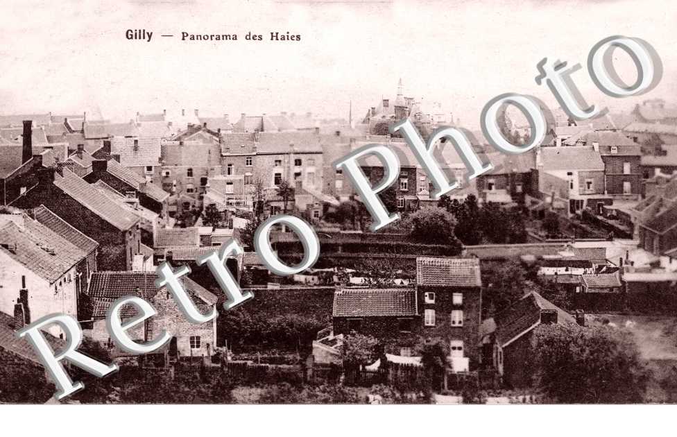 panorama des haies