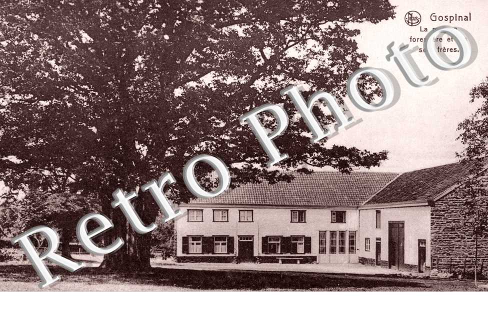 la Maison forestiere et les sept freres