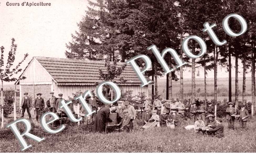 Cours d'Apiculture