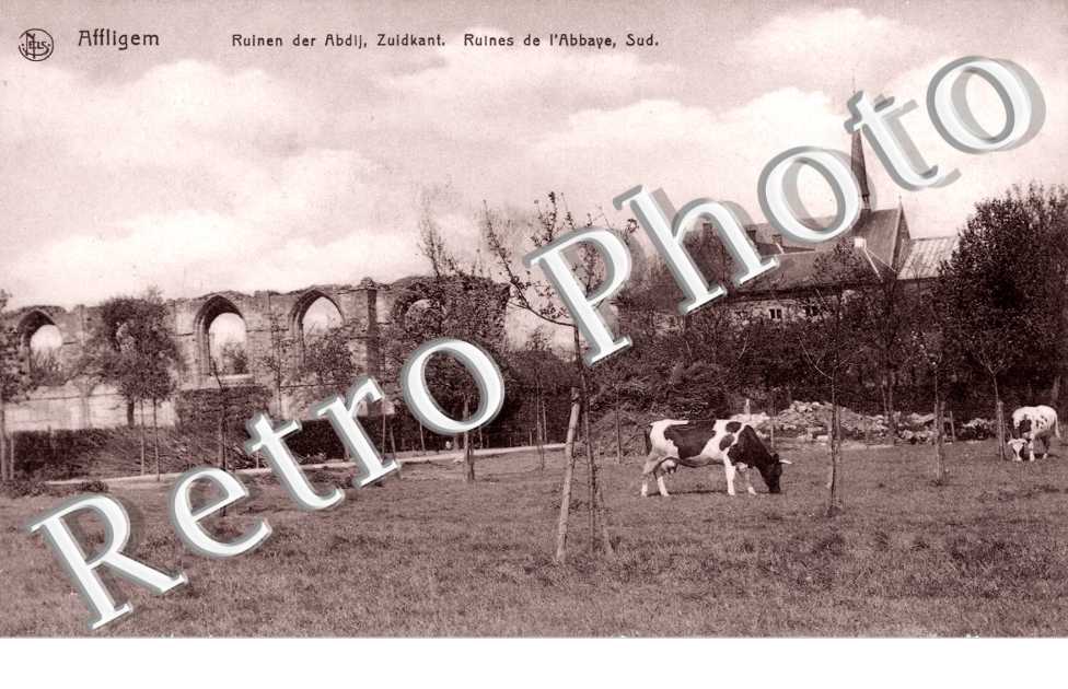 Affligem - Ruines de l'Abbaye