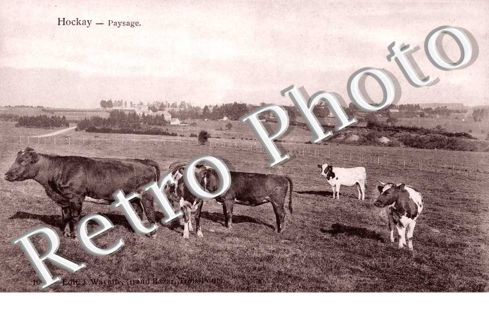 Paysage