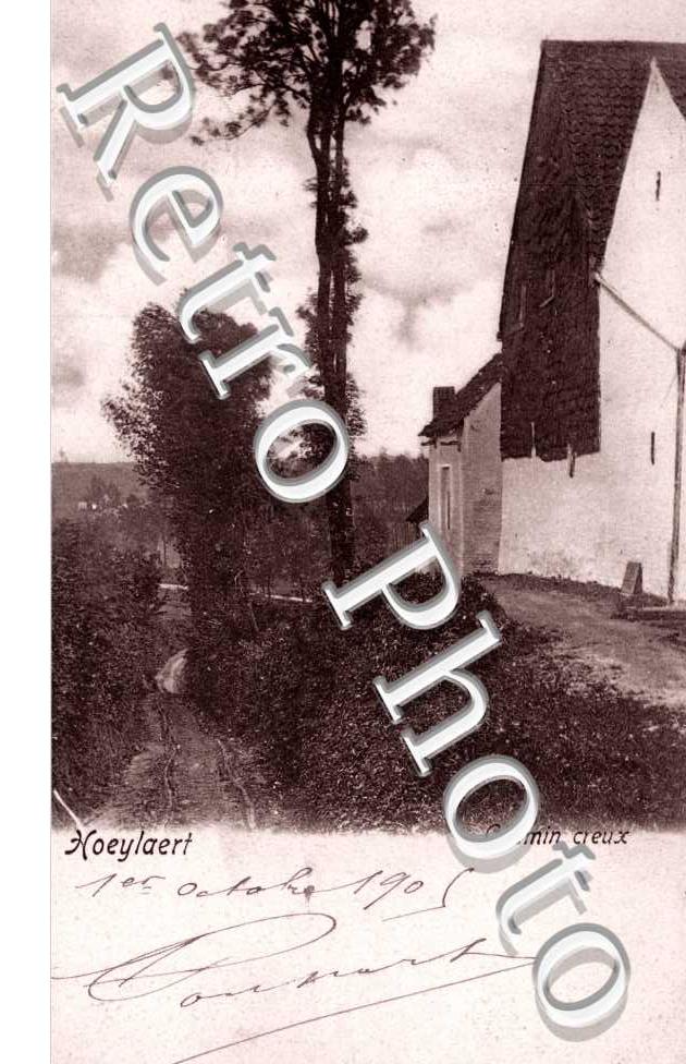 chemin creux