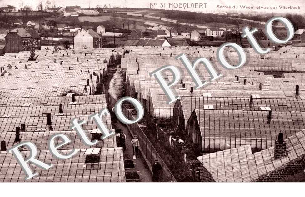 serres du Weem et vue sur Vlierbeek