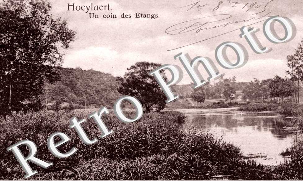 un coin des etangs