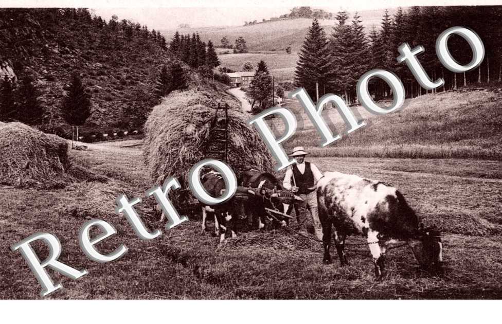 Scene de Campagne