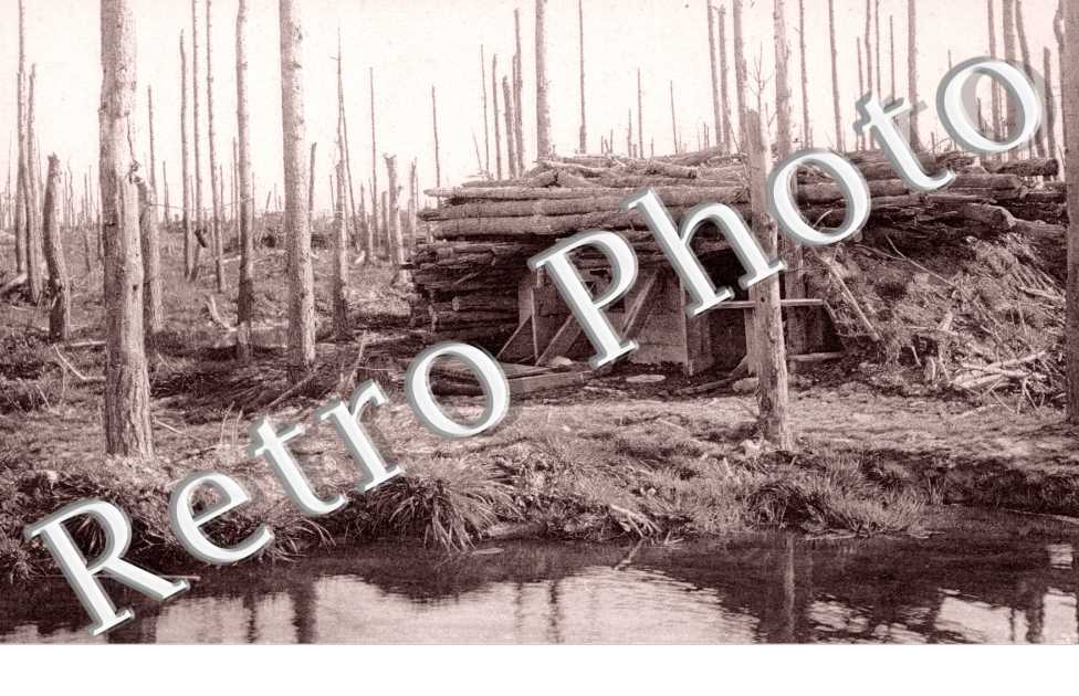 Ruines de la Foret, Abris sous bois