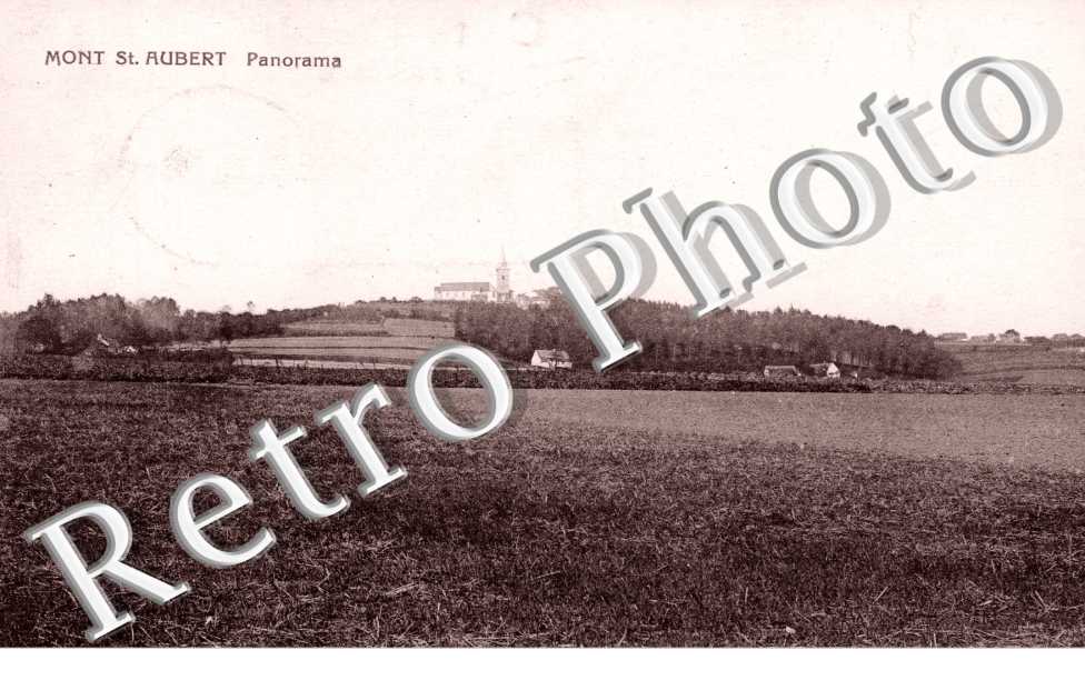 Mont Saint Aubert, Panorama
