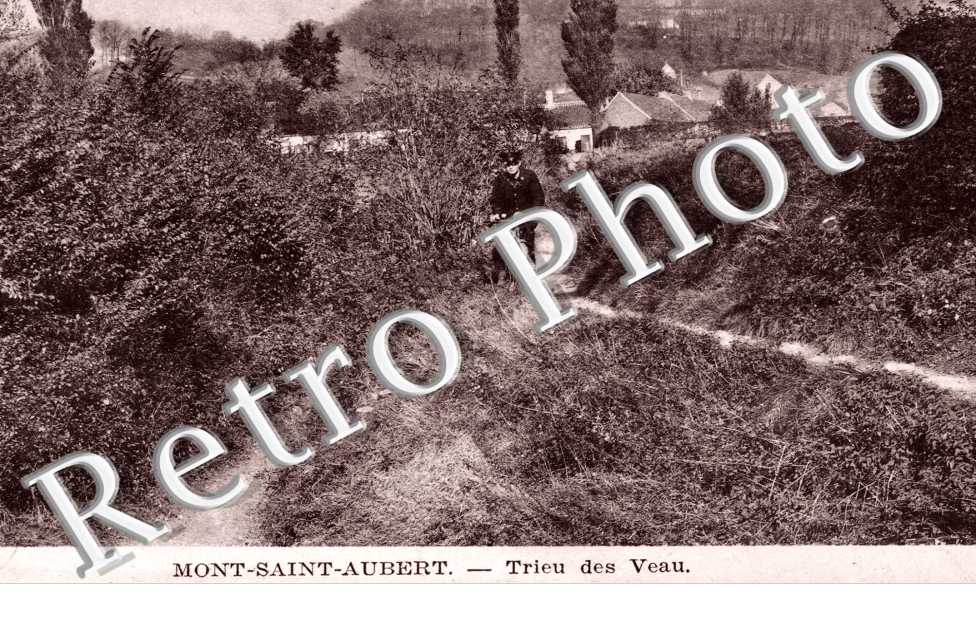 Mont Saint Aubert, Trieu des Veau