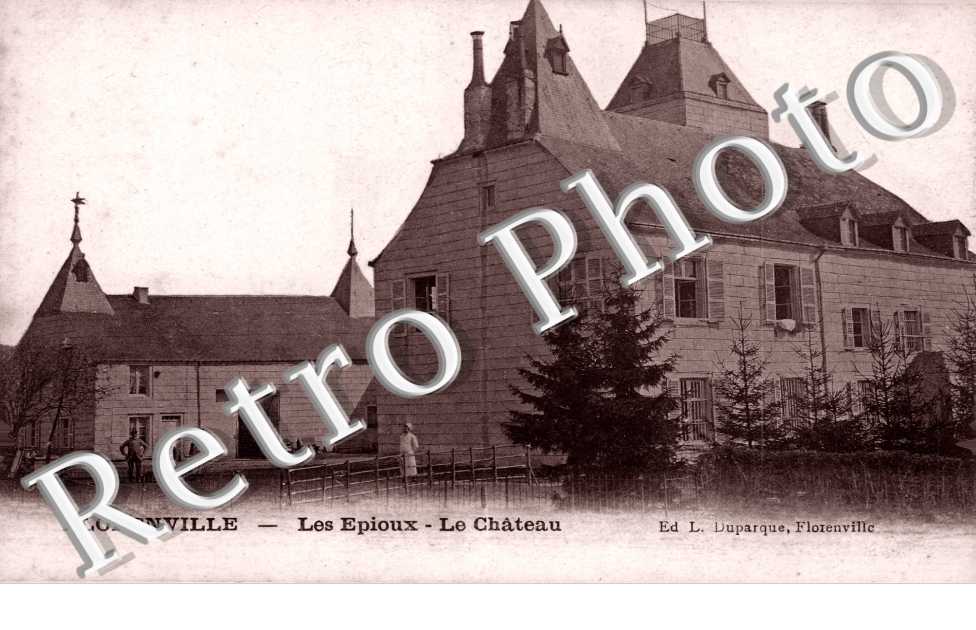 le chateau des Epioux