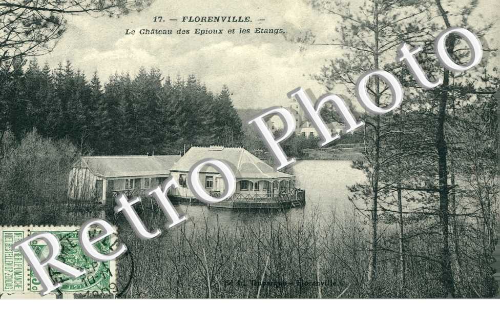 le chateau des Epioux et les etangs