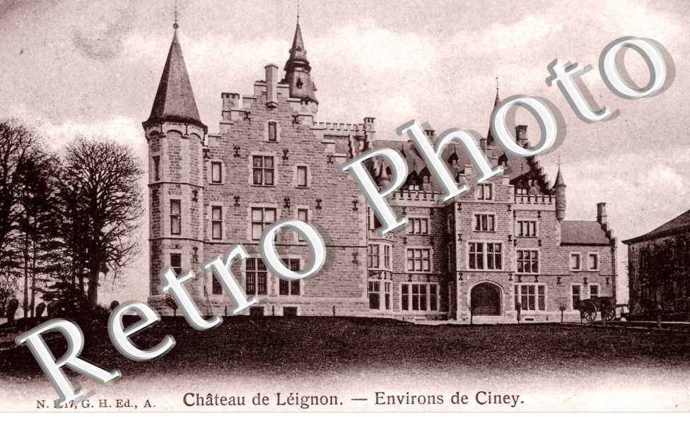 Chateau de Leignon