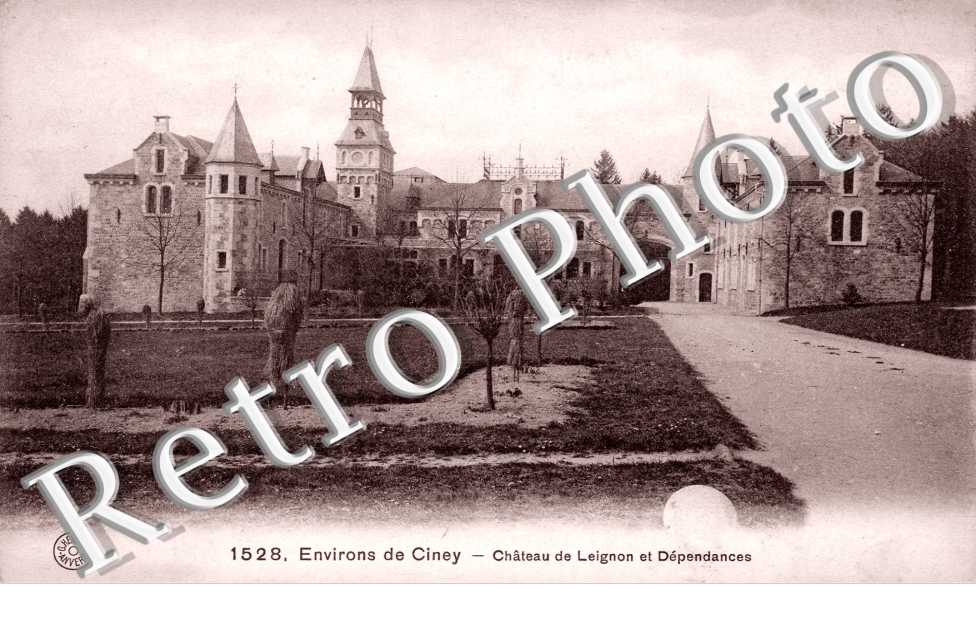 Chateau de Leignon et dependances