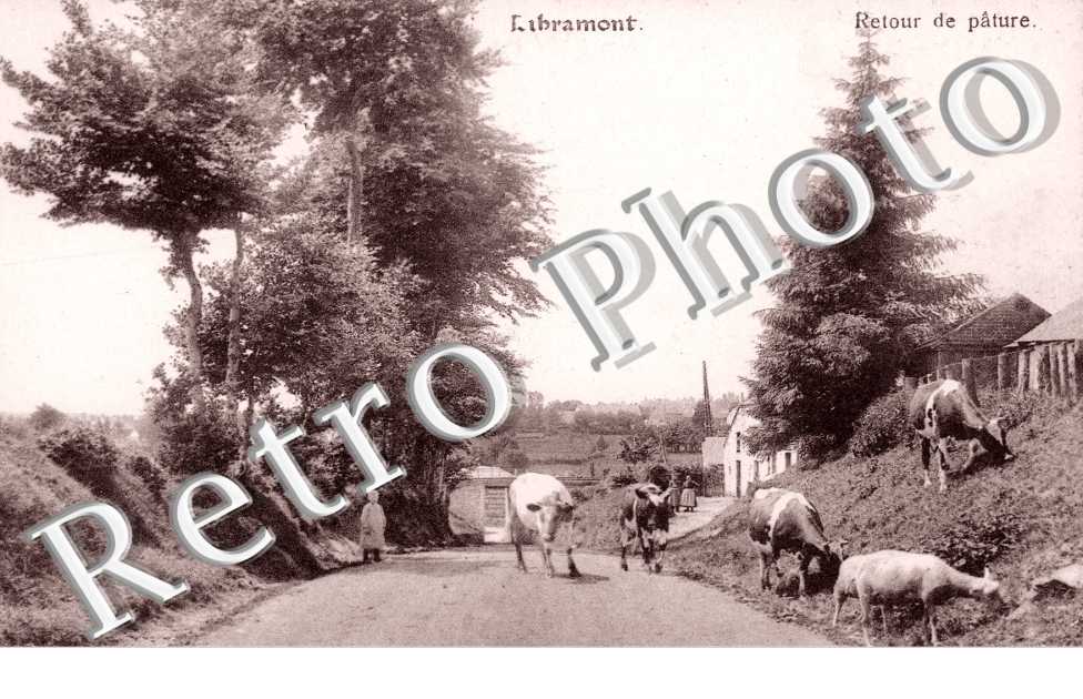 Route de Pature