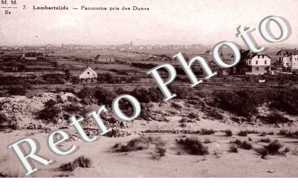 Lombartzide, Panorama