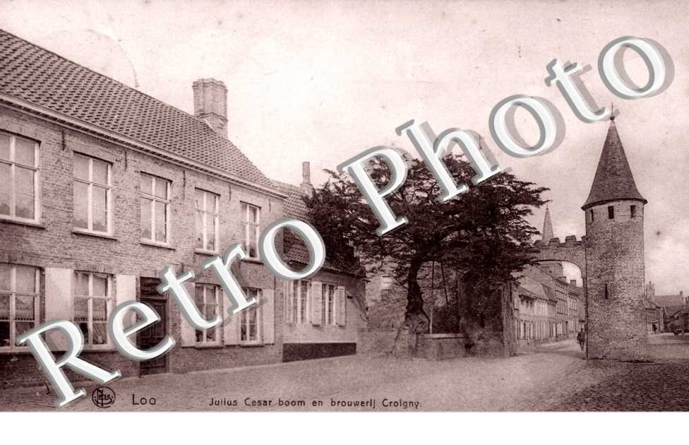 Julius Cesar boom en brouwerij Croigny