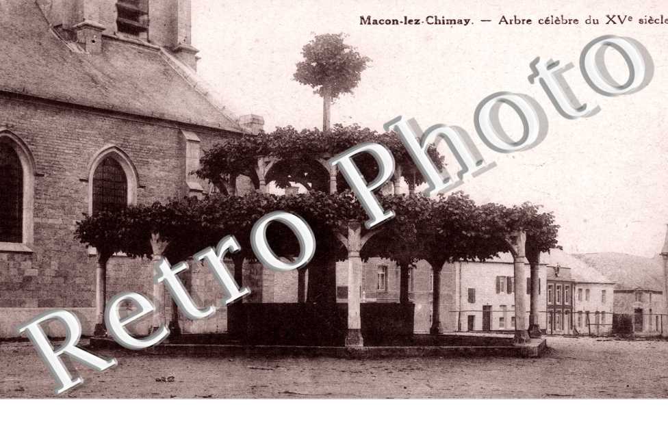 Arbre celebre du XVeme Siecle