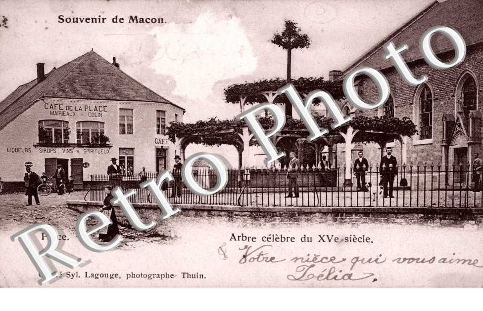 Arbre celebre du XVeme siecle