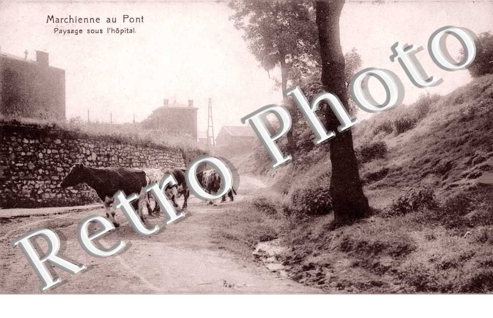 paysage sous l'hopital