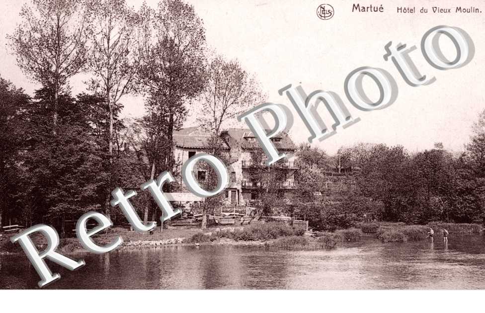 Hotel du Vieux Moulin