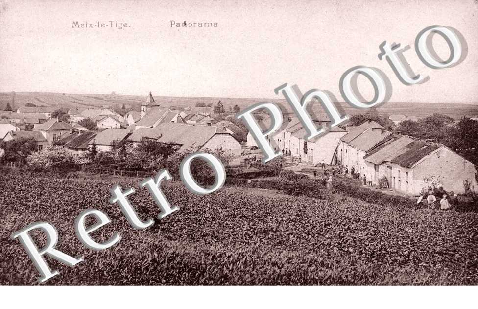 Panorama