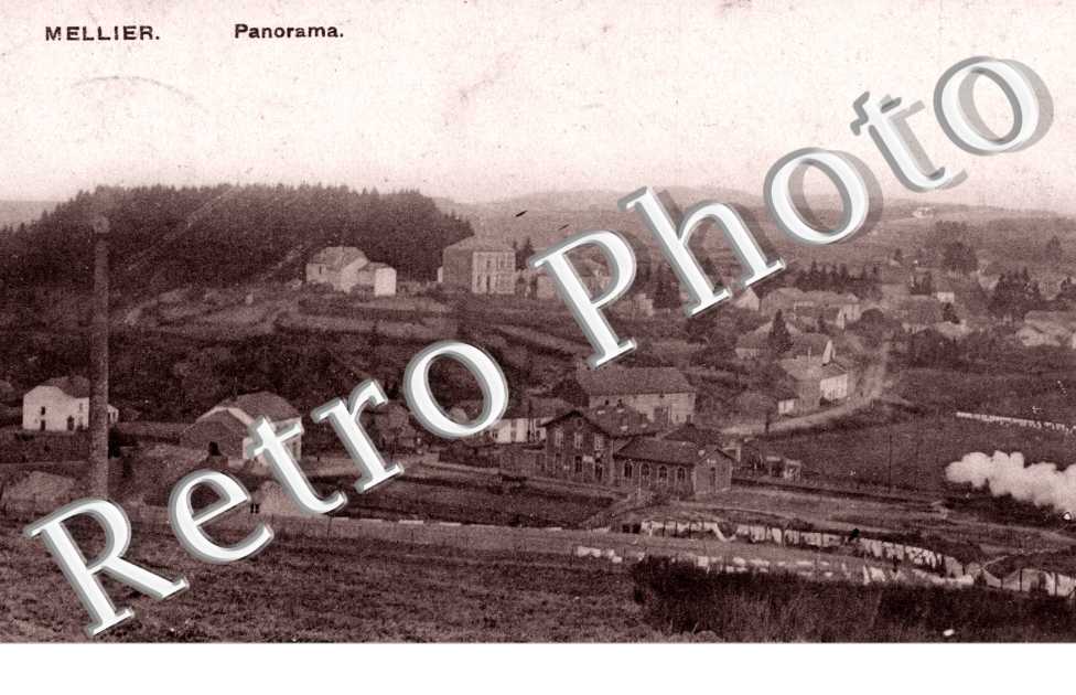 Panorama
