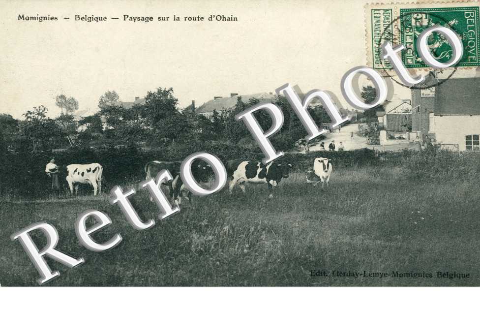 Paysage sur la Route d'Ohain