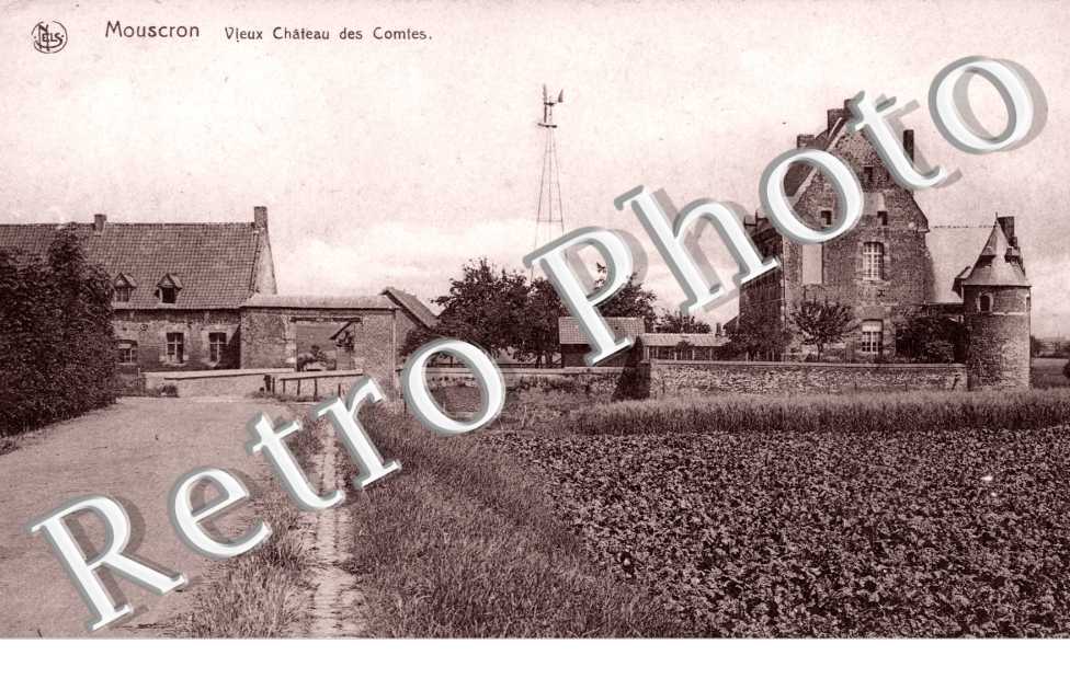 Vieux Chateau des Comtes