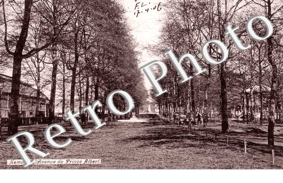 l'avenue du Prince Albert