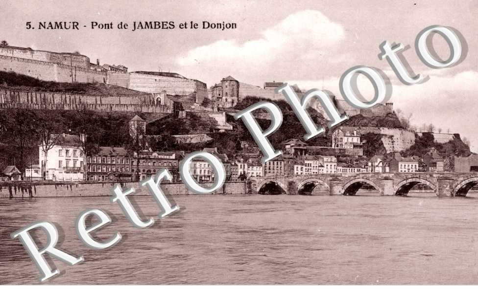 Pont de Jambes et le Donjon