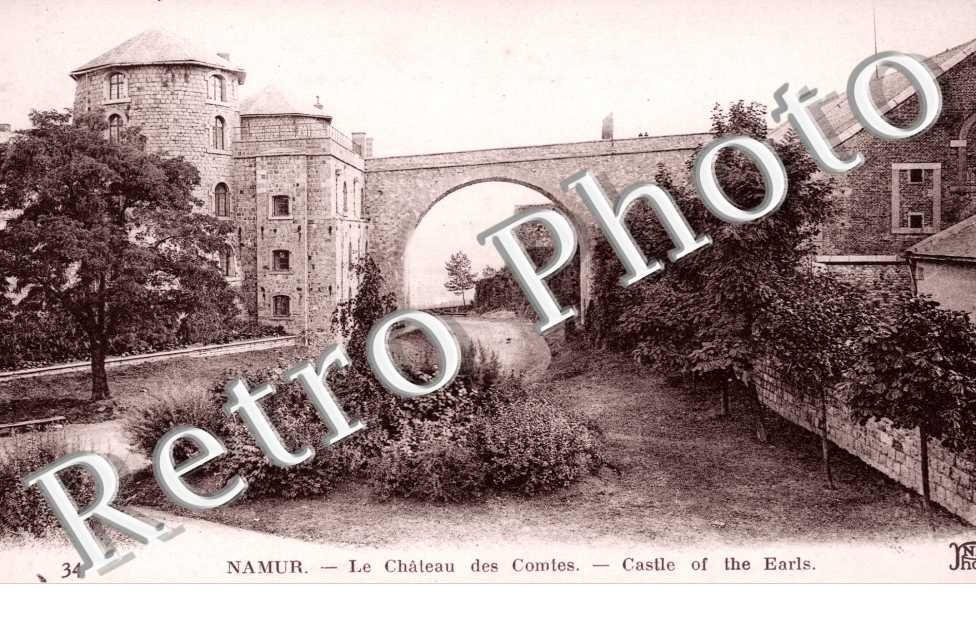 Chateau des Comtes