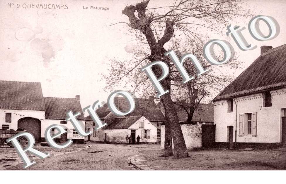 le paturage