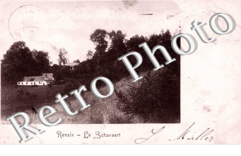Le Schavaert