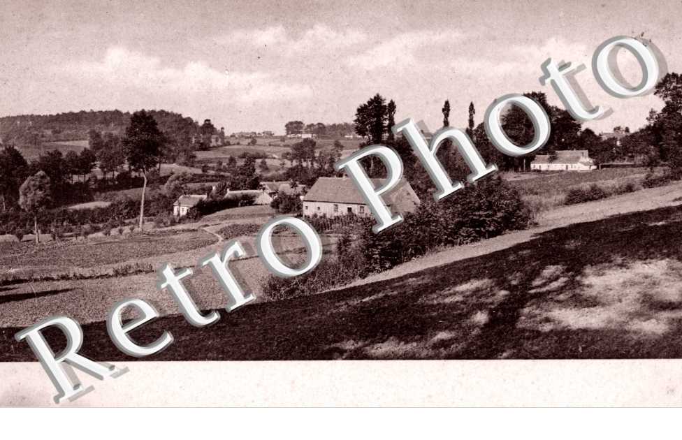 panorama