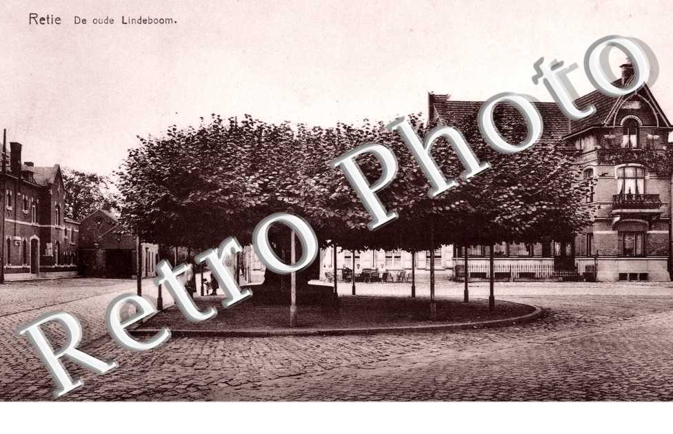 De oude Lindeboom