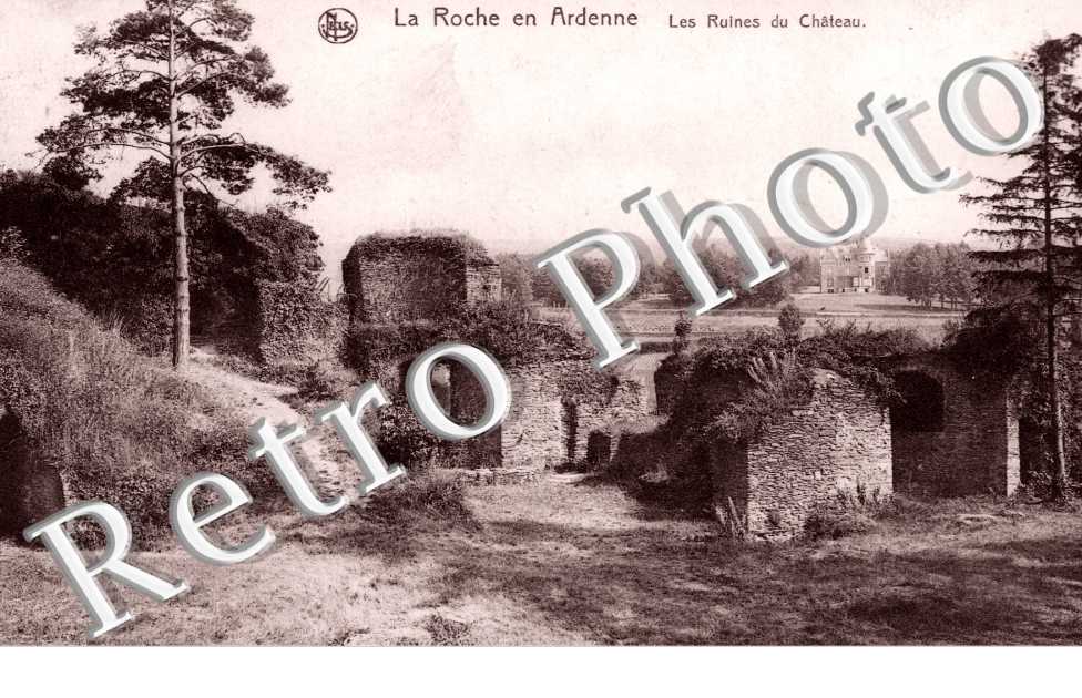 les ruines du chateau