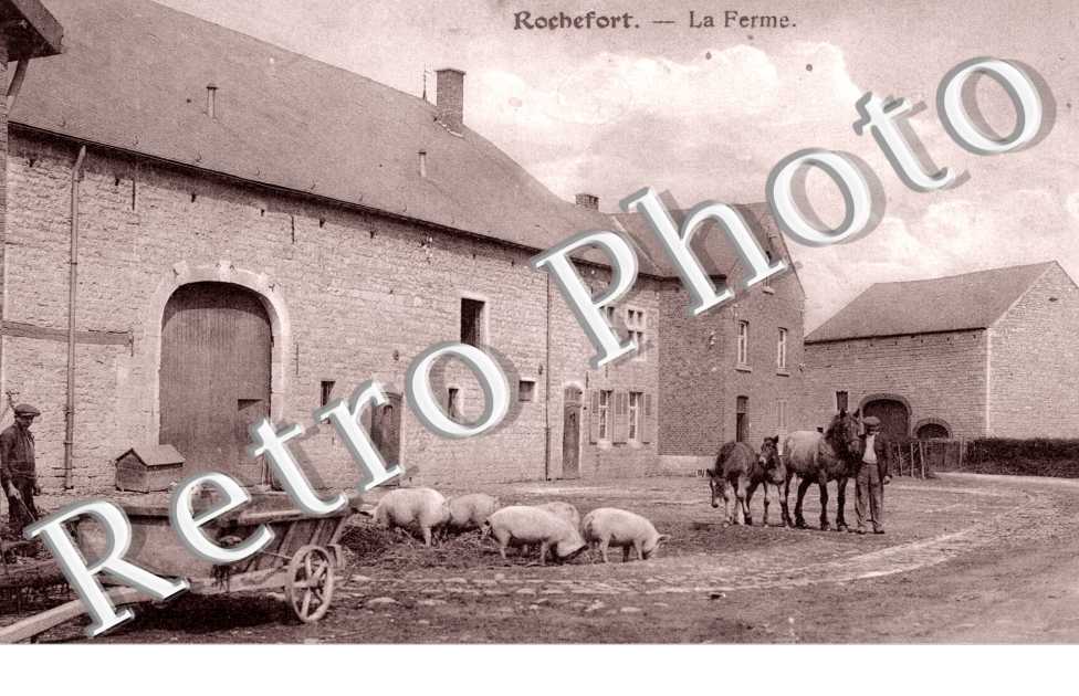 la Ferme
