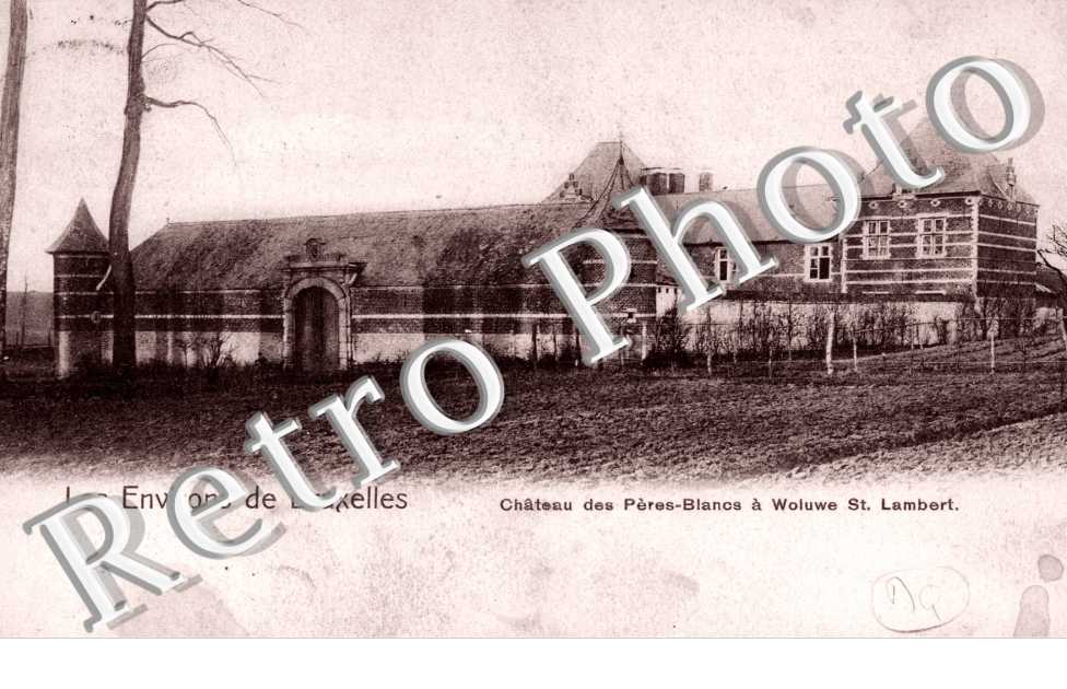 Chateau des Pes Blancs