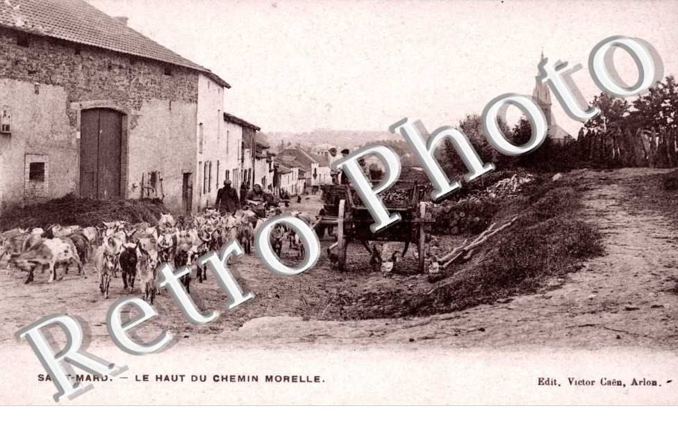le haut du chemin Morelle