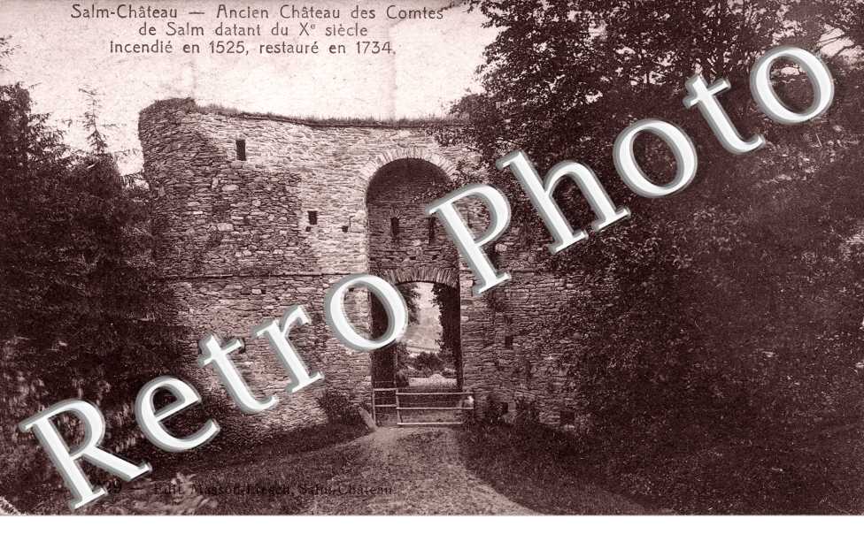 Ancien Chateau des Comtes de Salm