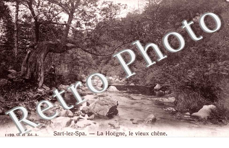 La Hoegne - Le Vieux Chene