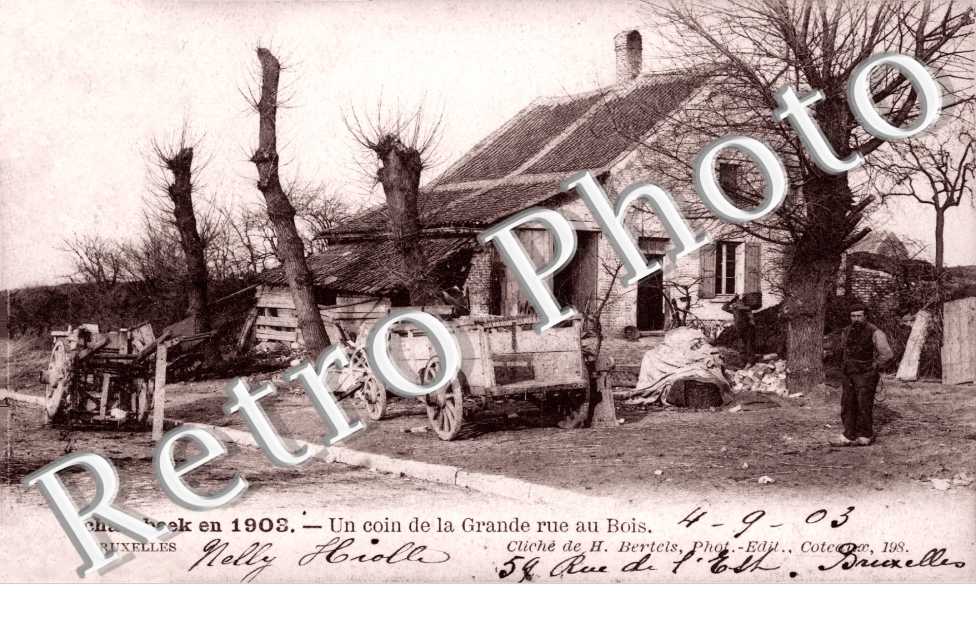 un coin de la Grande Rue au bois