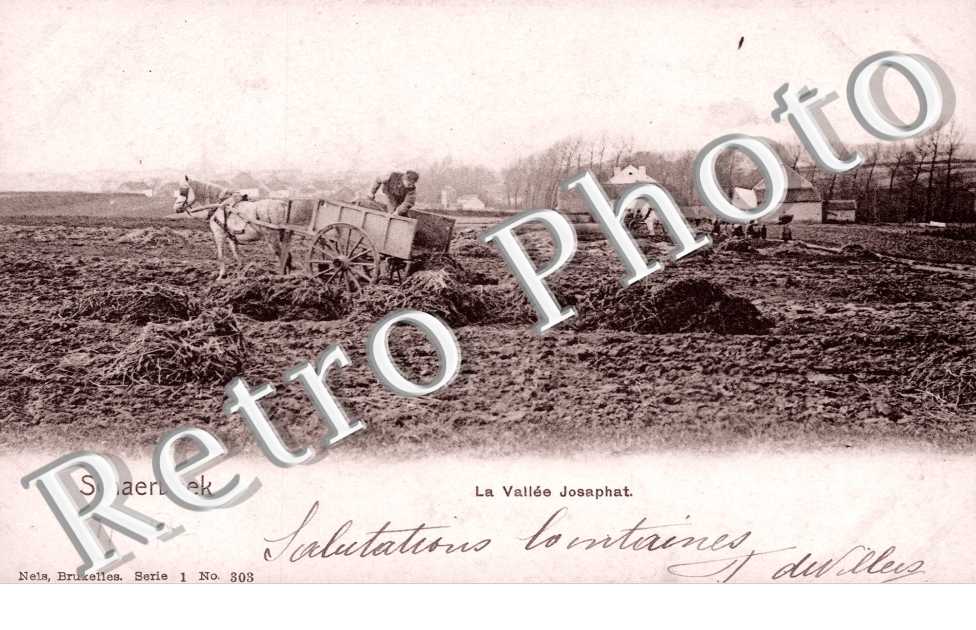 la Vallee Josaphat