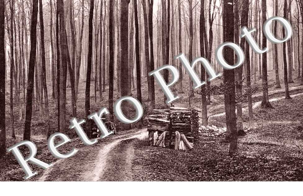 chemin des Trois-Fontaines