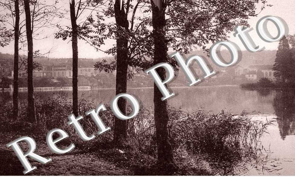 etang de Boitsfort