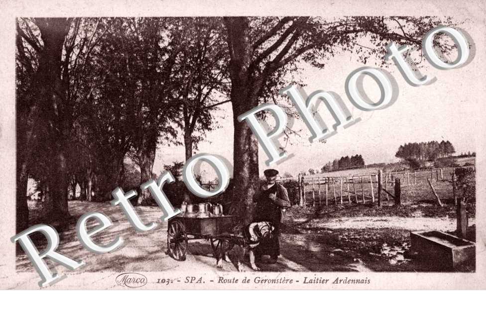 Attelage de Chien, Route de Geronstere, laitier Ardennais