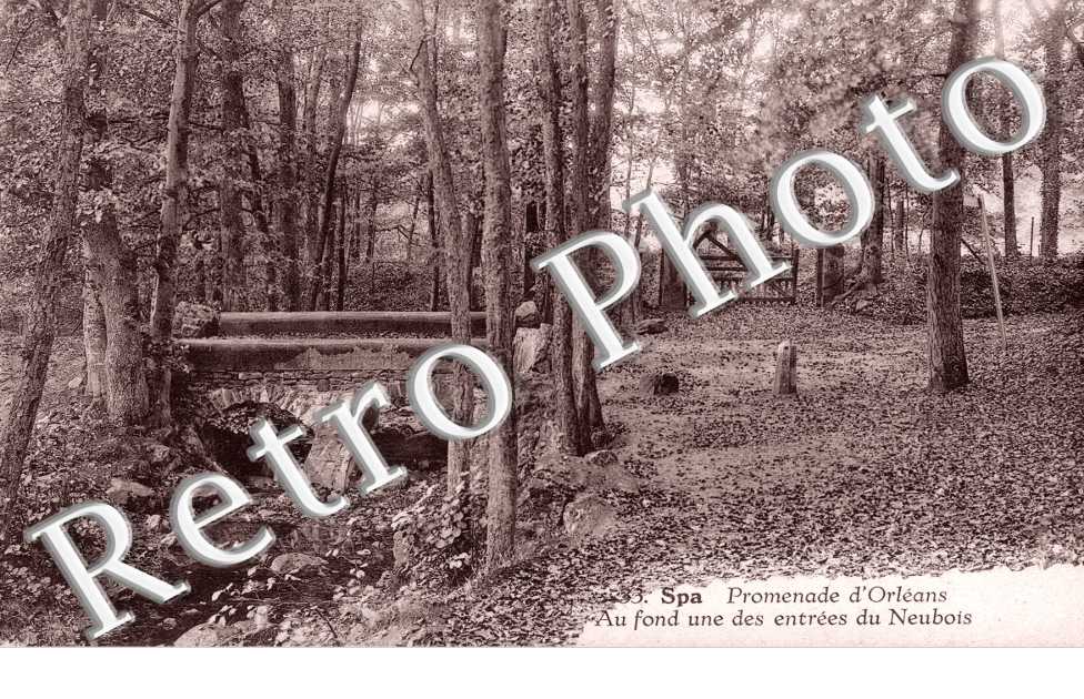  Promenade d'Orleans, Au fond une des entrees du Neubois